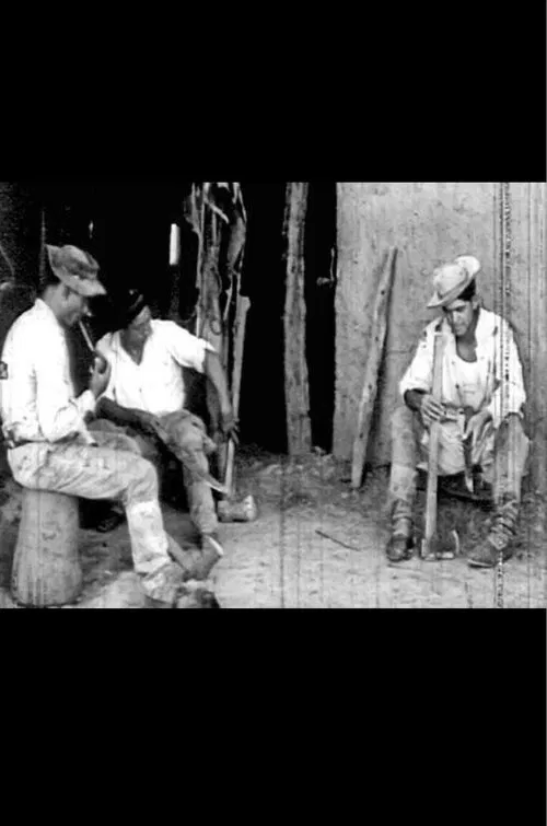 Hachero nomás movie poster