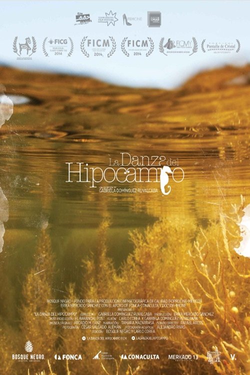 The Dance of Memory movie poster