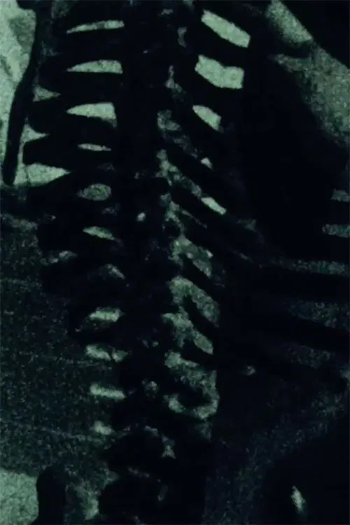 Dervish Machine movie poster