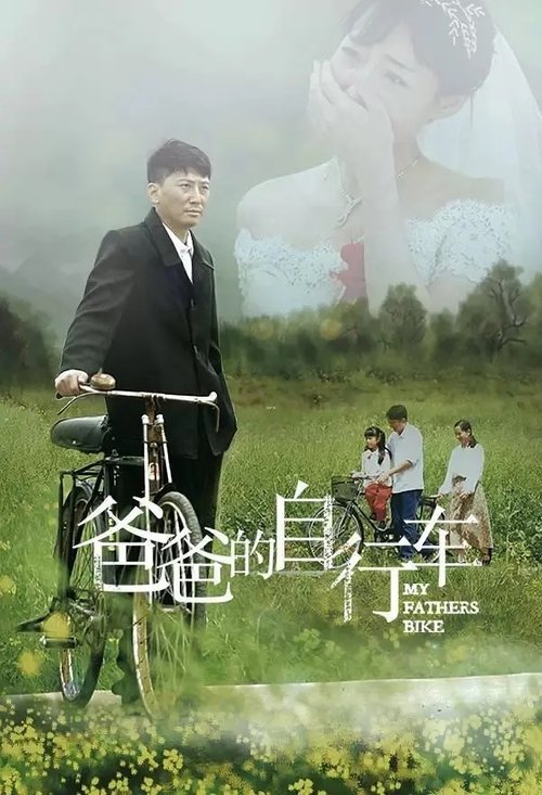 爸爸的自行车 movie poster