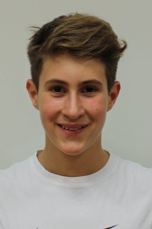 Luka Žerdin profile picture