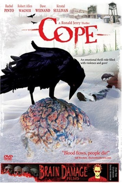 Cope movie poster