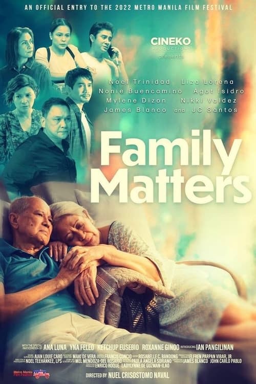 Family Matters movie poster