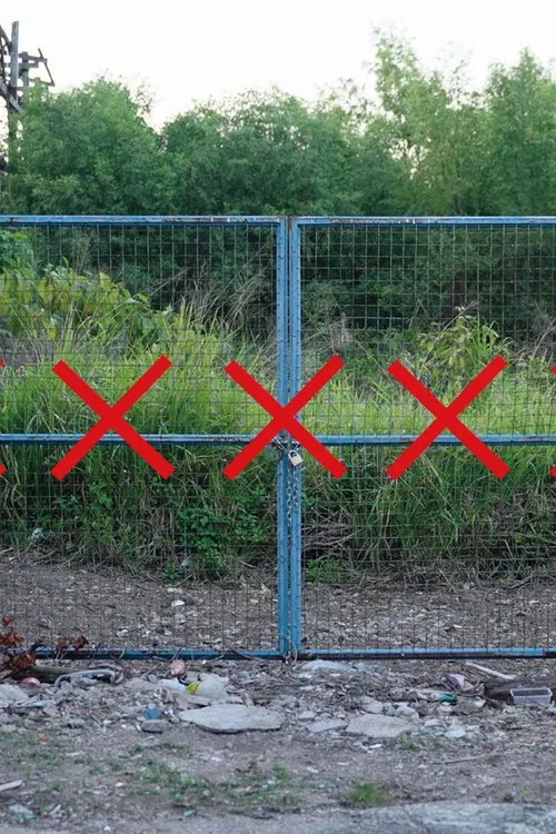 The Ceremony of Coloane movie poster