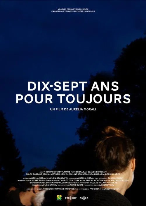 Dix-sept ans pour toujours movie poster