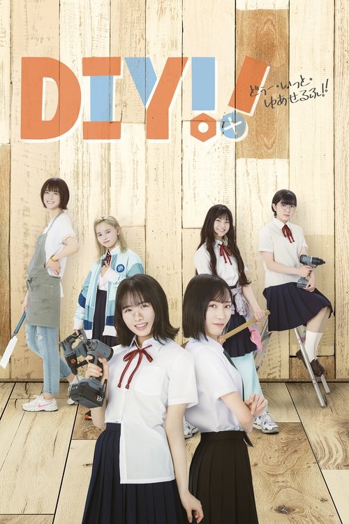 DIY!!: Do It Yourself tv show poster
