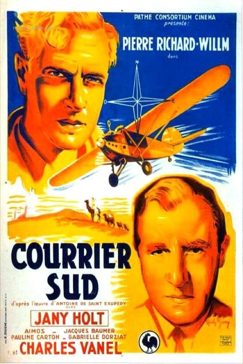 Southern Carrier movie poster