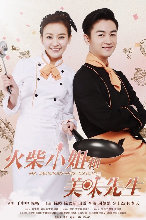 Mr. Delicious Miss. Match tv show poster