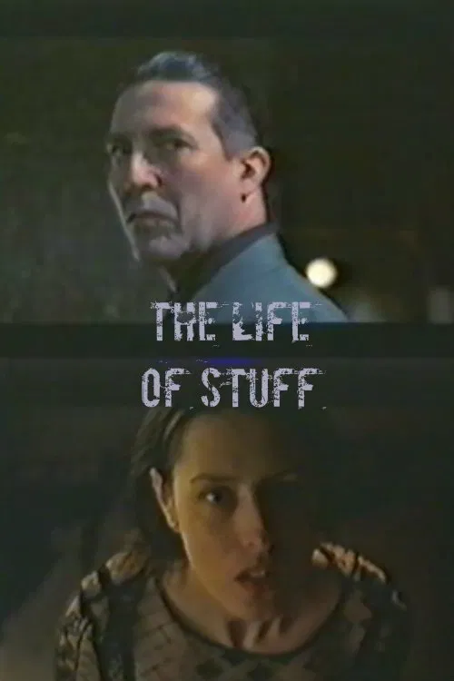 The Life of Stuff movie poster