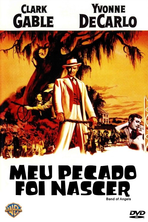 Poster do filme Meu Pecado Foi Nascer