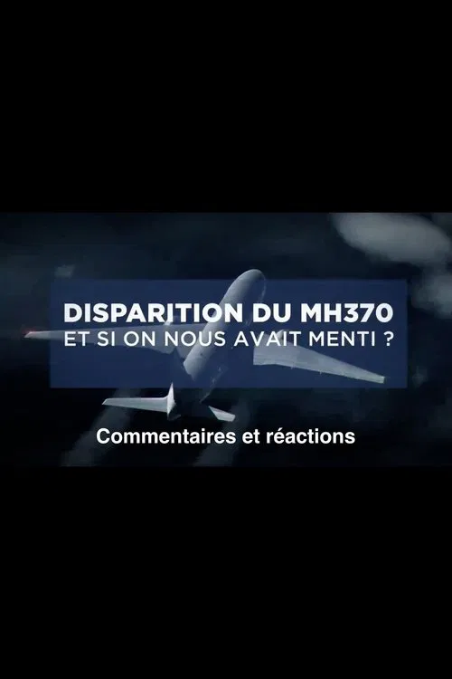 Disparition du MH370: Et si on nous avait menti? movie poster