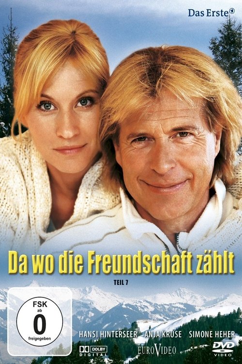 Da wo die Freundschaft zählt movie poster