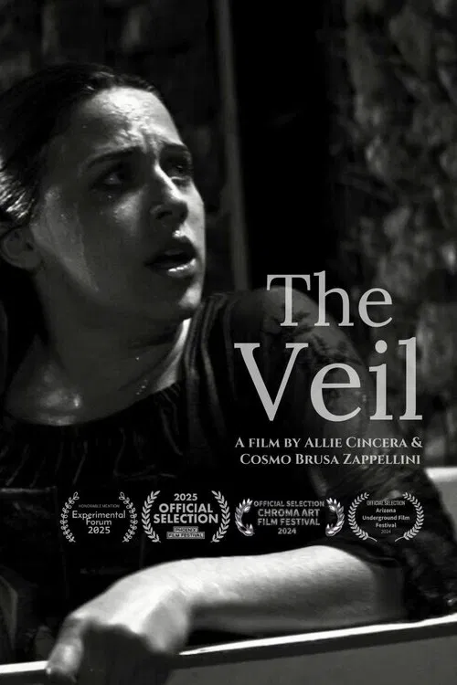 The Veil movie poster