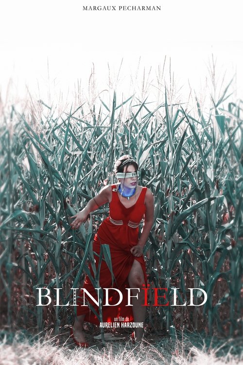 Poster do filme Blindfïeld