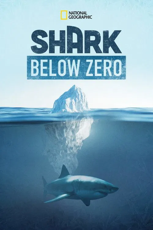 Shark Below Zero movie poster