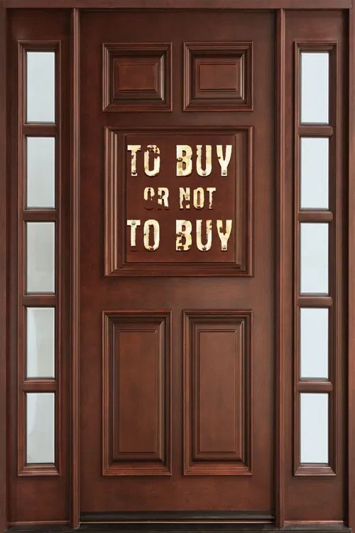 To Buy or Not to Buy tv show poster