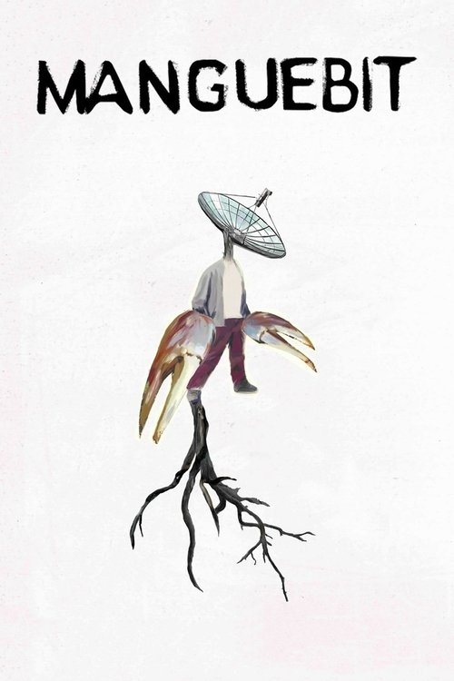 Poster do filme Manguebit