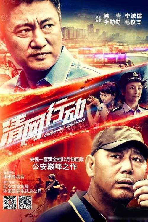 Poster da série 清网行动