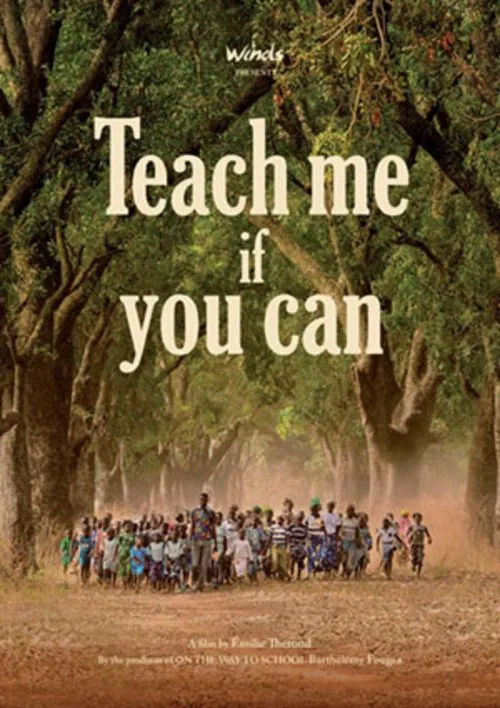 Teach Me If You Can movie poster