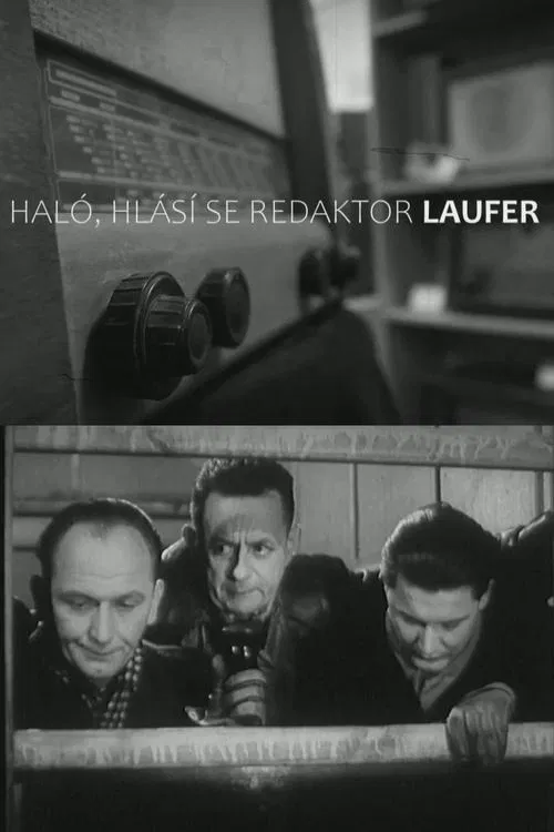 Haló, hlásí se redaktor Laufer! movie poster