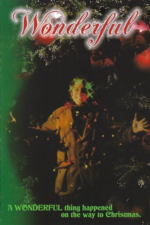 Poster do filme Wonderful