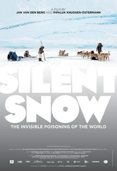 Poster do filme Silent Snow