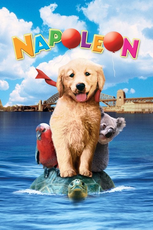 Napoleon movie poster