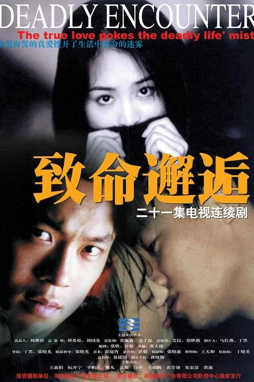 致命邂逅 tv show poster