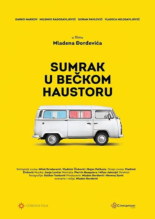 Vienna Hallways movie poster