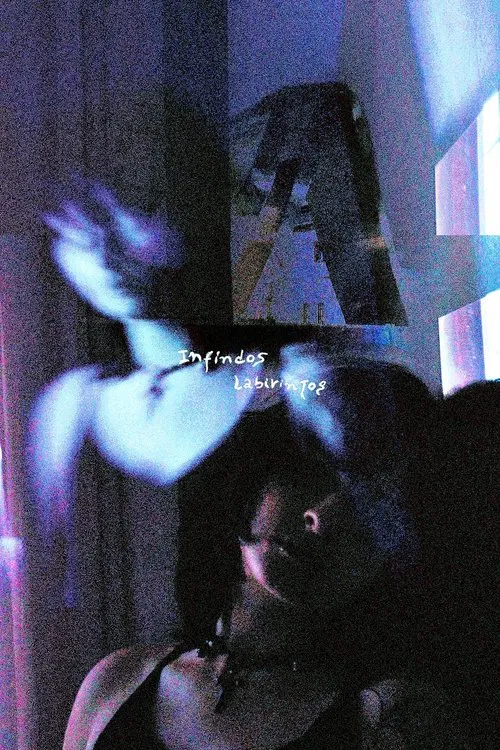 Endless labyrinths movie poster