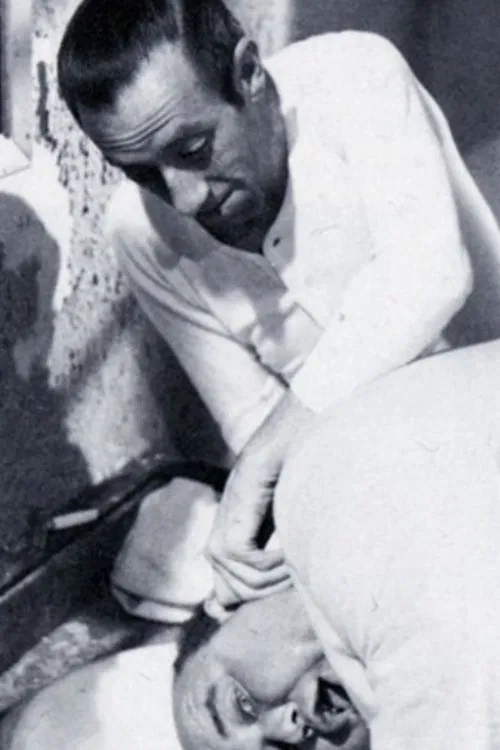 Bonança & Cª movie poster