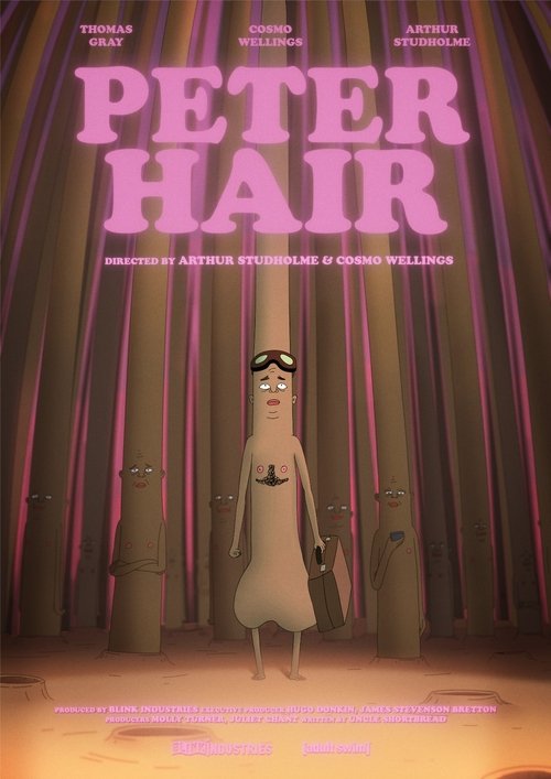 Peter Hair movie poster