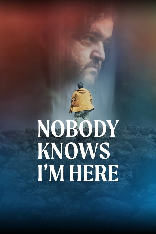 Nobody Knows I'm Here movie poster