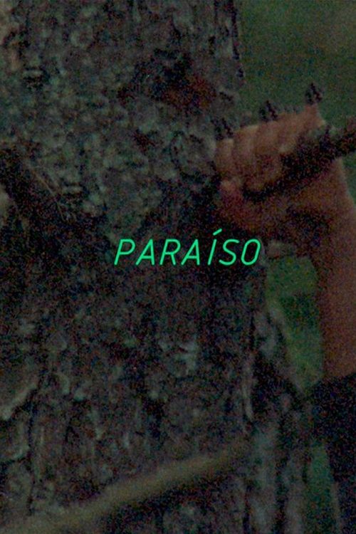 Paraíso movie poster