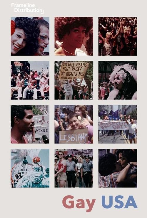 Gay USA movie poster