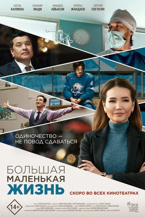 Poster do filme Big Little Life