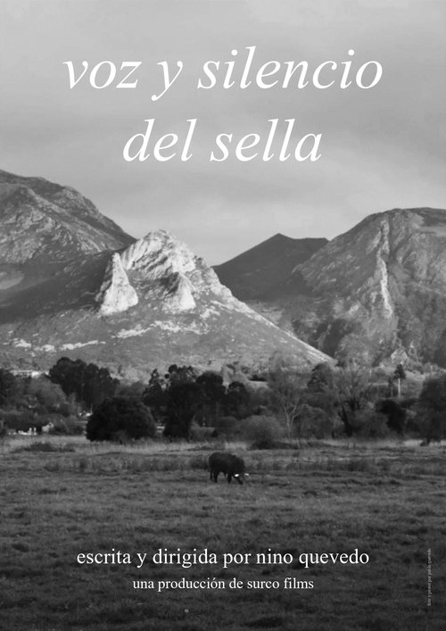 Voice and silence of the Sella movie poster