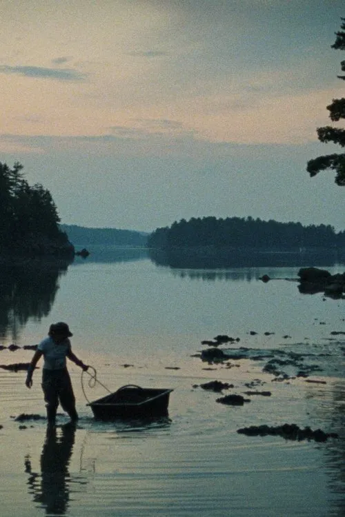 Double Tide movie poster