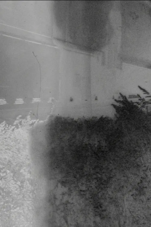 Los Plateados movie poster