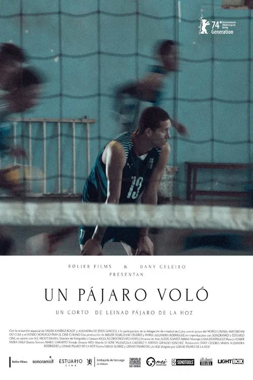 A Bird Flew movie poster