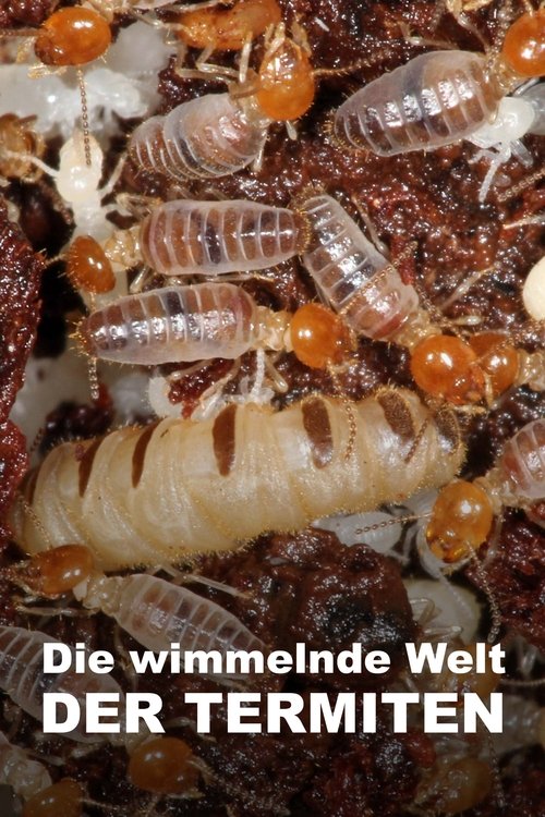 The World According to Termites movie poster