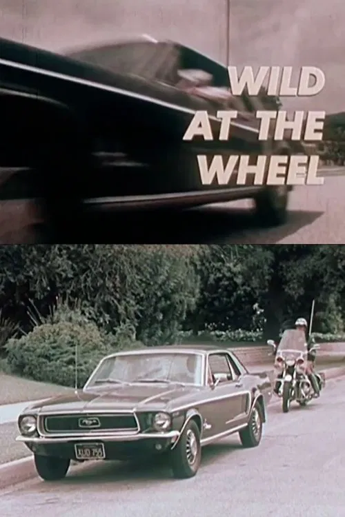 Wild at the Wheel movie poster