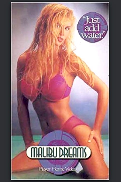 Malibu Dreams movie poster