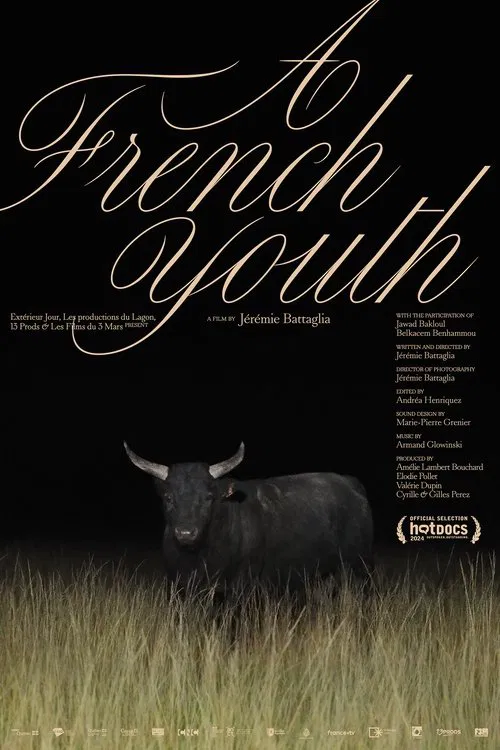 A French Youth movie poster