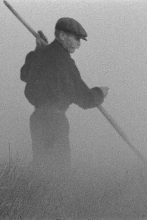 The Old Man and the Land movie poster