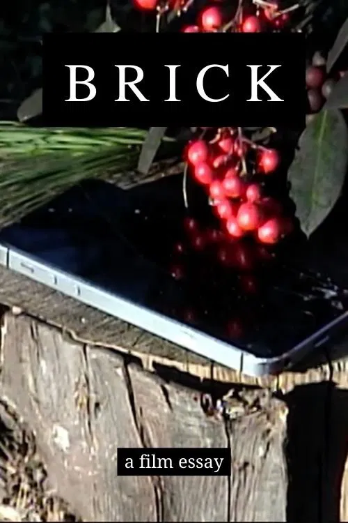 Brick - A film essay movie poster