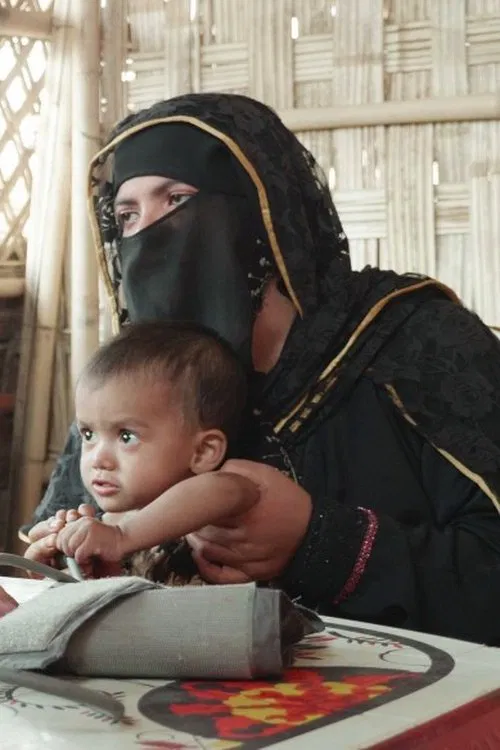 The Border Within movie poster