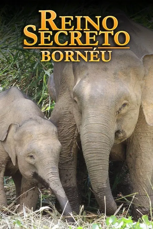 Poster da série Reino Secreto: Bornéu