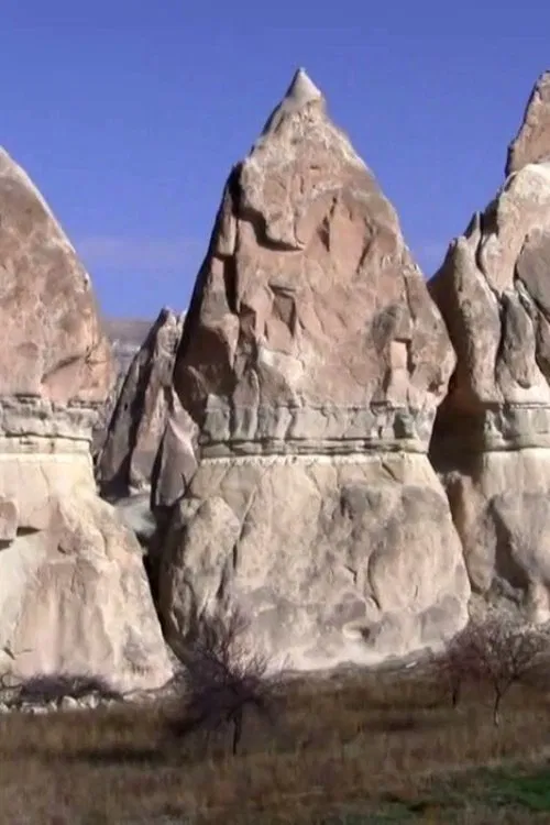 Poster do filme Katpatuka