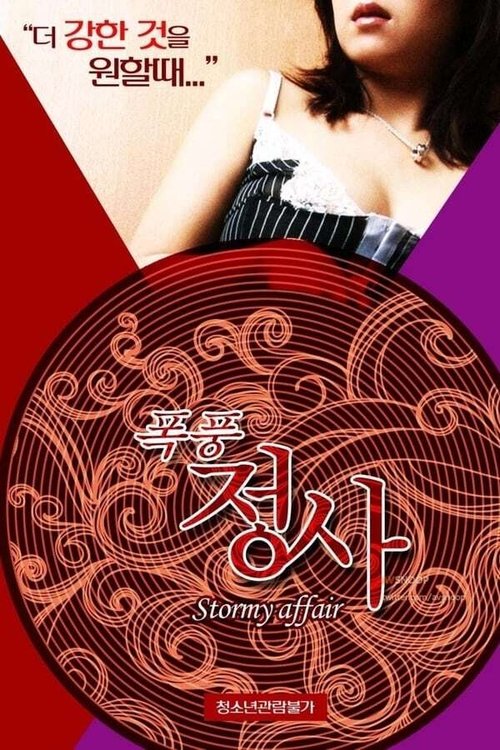 Stormy Affair movie poster